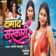 Damad Sanskari Milale